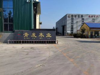 中国 Heze Qingfa Enterprises Co., Ltd.