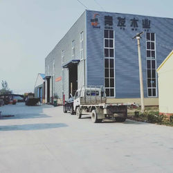 中国 Heze Qingfa Enterprises Co., Ltd.