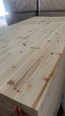 固木 家具 衣装 壁紙 ドア 床 床 床 床 床 床 床 床 床 床 床 床 床 床 床 床 床 床 床 床 床 床 床 床 床 床 床 床 床 床 床 床 床 床 床 床 床 床 床 床 床 床 床 床 床 床 床 床 床 床 床 床 床 床 床 床 床 床 床 床 床 床 床 床 床 床 床 床 床 床 床 床 床 床 床 床 床 床 床 床 床 床 床 床 床 床 床 床 床 床 床 床 床 床 床 床 床 床 床 床 床 床 床 床 床 床 床 床 床 床 床 床 床 床 床 床 床 床 床 床 床