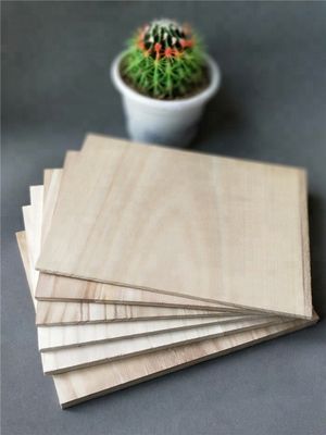折りたたむタークウォンド板 225*300mm カスタムロゴサービス