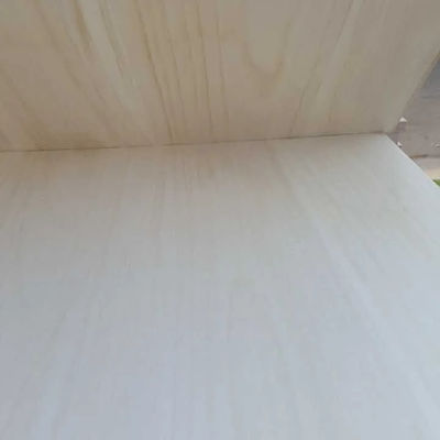 パーソナライズされたサイズ パウロwnia 木製 指合板 固木で自然色