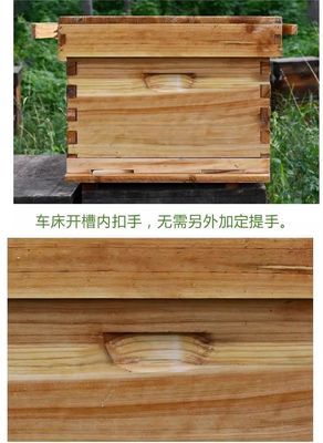 ミツバチ飼育ツール 販売後サービス オンライン技術サポート プロジェクトソリューション能力
