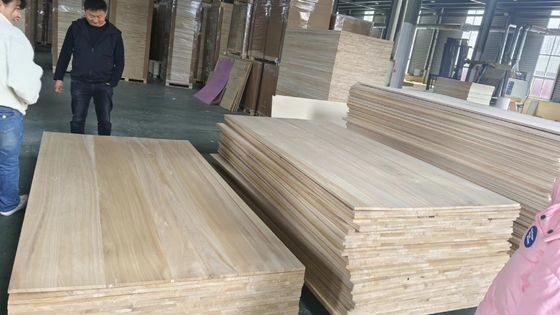 湿度 8%~12% 固木板 パロウニア木 M3 家用オフィス装飾用