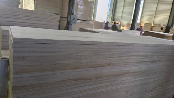 湿度 8%~12% 固木板 パロウニア木 M3 家用オフィス装飾用
