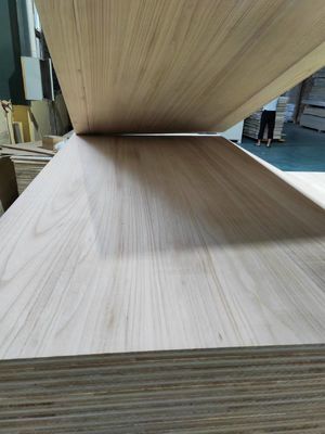FSC100%認証 パウロニア木製板材の多層家具パネル