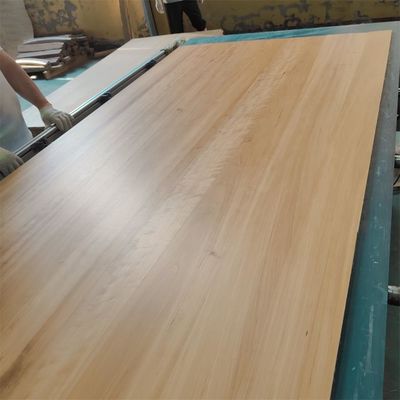 無料のスペアパーツ プリーム付き 固木板家具パネル